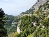 Clicca qui per vedere l'immagine in dettaglio